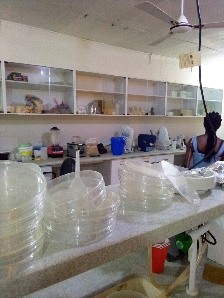 Food Testing Laboratory Setup (Turnkey)
