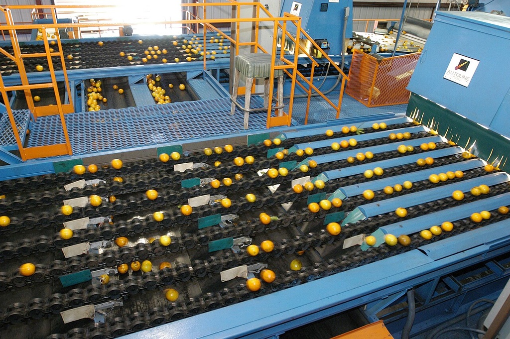 Fruit Juice Processing Line