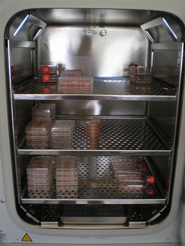 Laboratory Incubator
